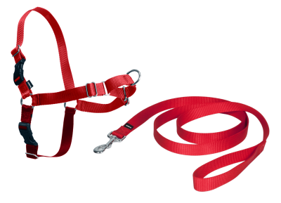 HARNAIS EASY WALK CHIEN M ROUGE EW-H-M-RD-45