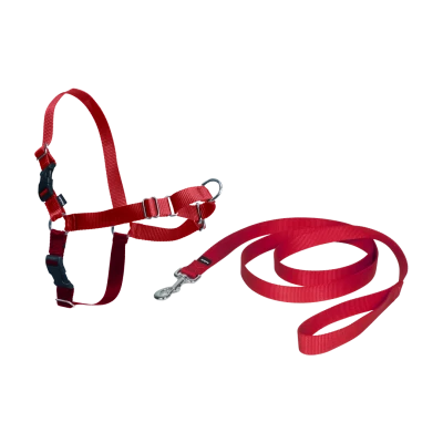Harnais Easy Walk chien - XL rouge