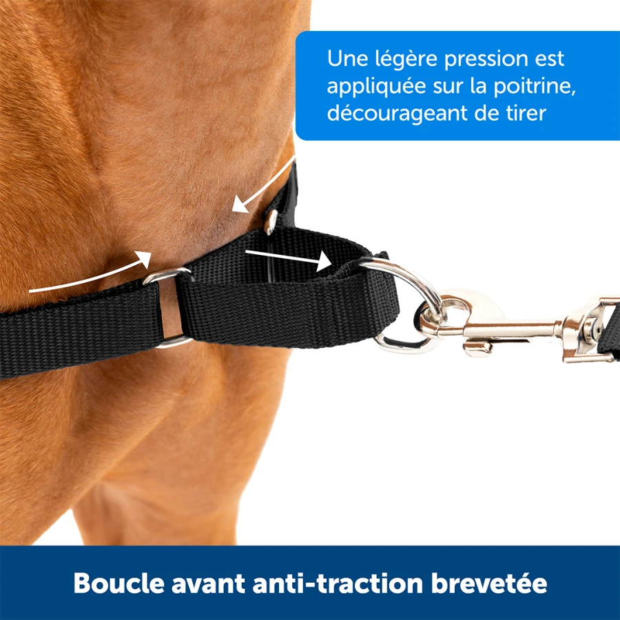 Harnais Easy Walk chien - XL rouge