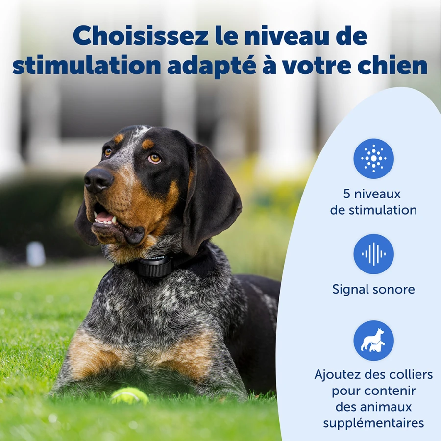Clôture anti-fugue Stay&Play