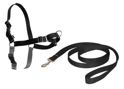 HARNAIS EASY WALK CHIEN XL NOIR EW-H-XL-BK-45