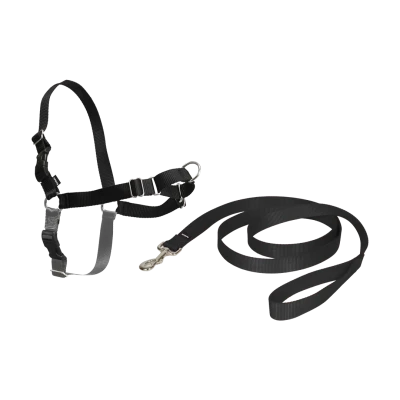 Harnais Easy Walk - XL noir