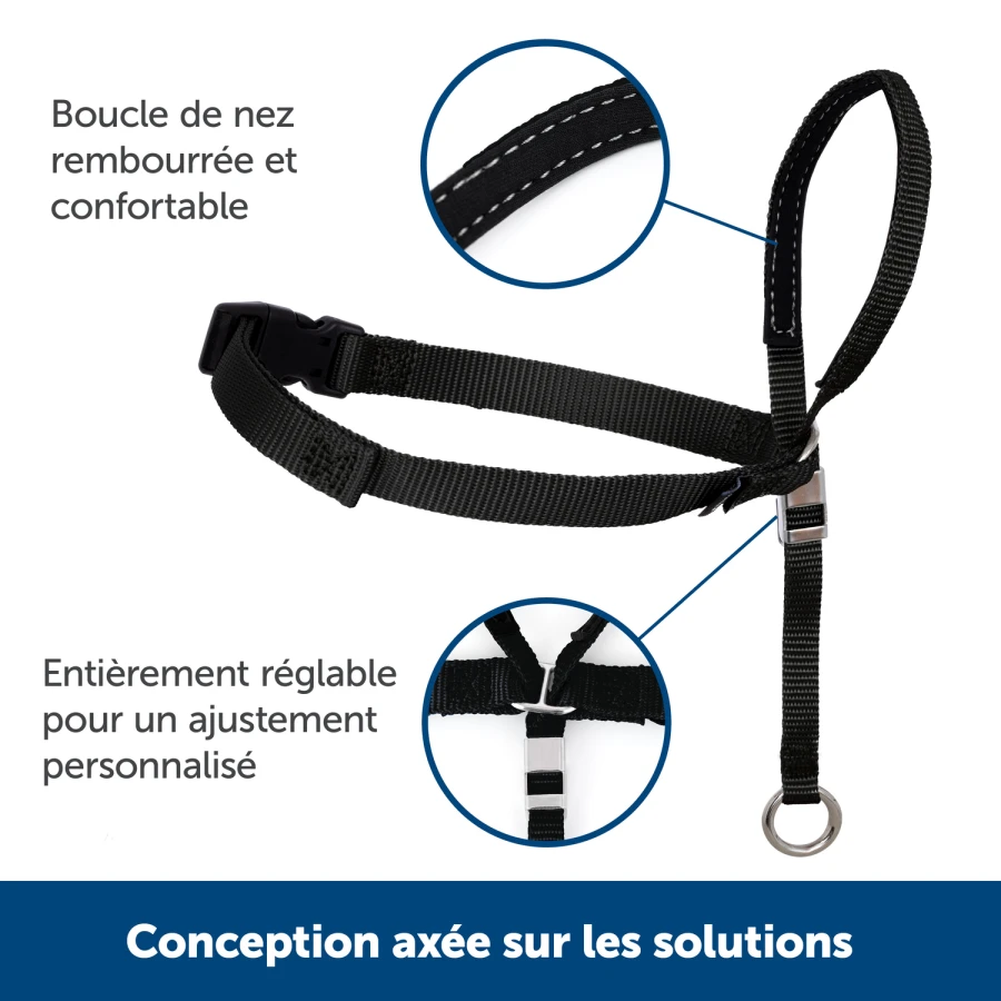 Licol Easy Walk - L noir
