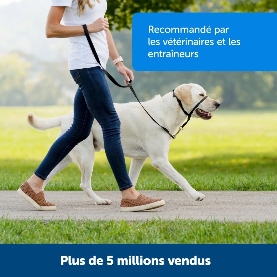 Licol Easy Walk - L noir