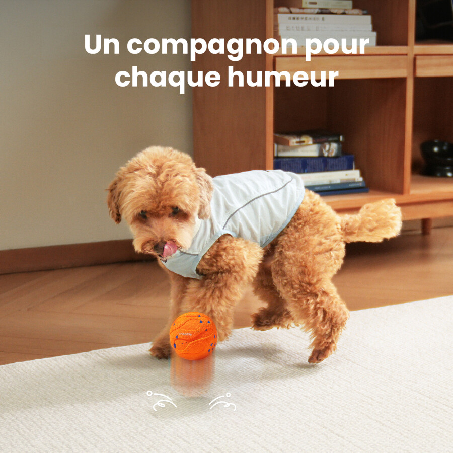 Image produit 7