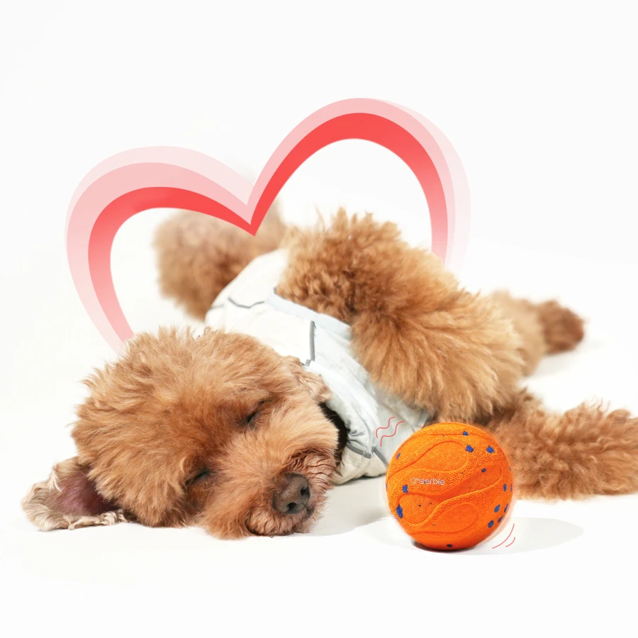 Wicked Ball Airneo - Orange