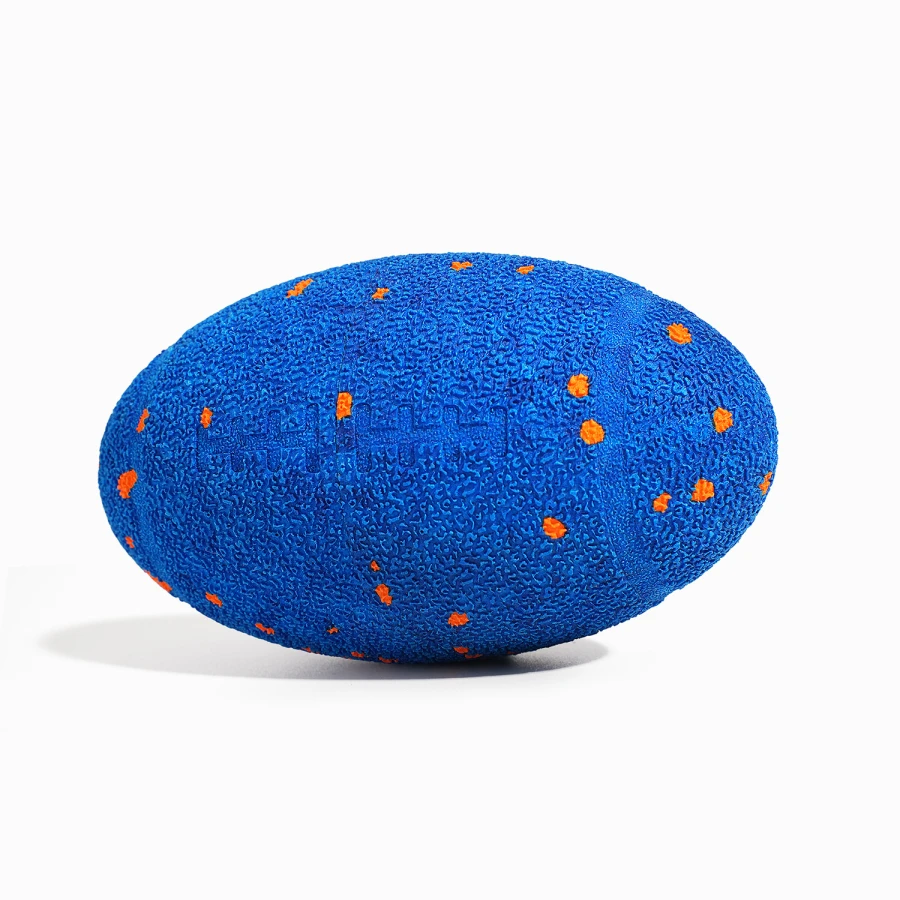 Jouet interactif Wicked Rugby - bleu