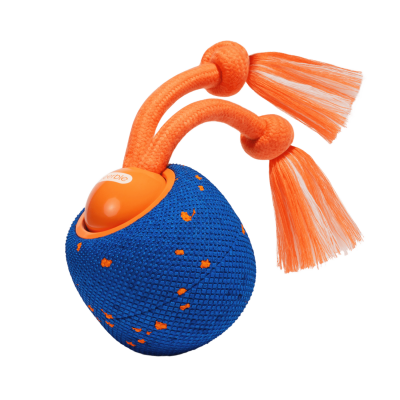 JOUET INTERACTIF  WICKED BALL ROLLY BLEU CWQ07