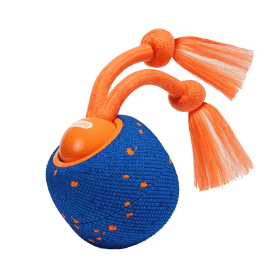 Wicked Ball Rolly