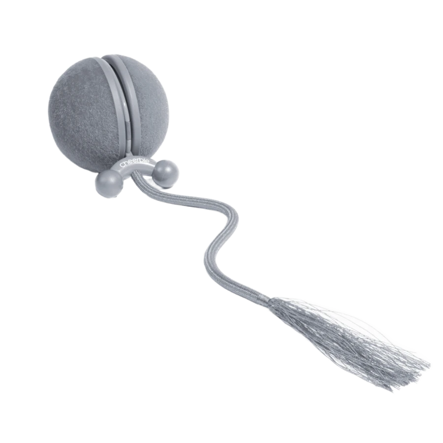 Jouet interactif Wicked Ball Duo 2 - grise