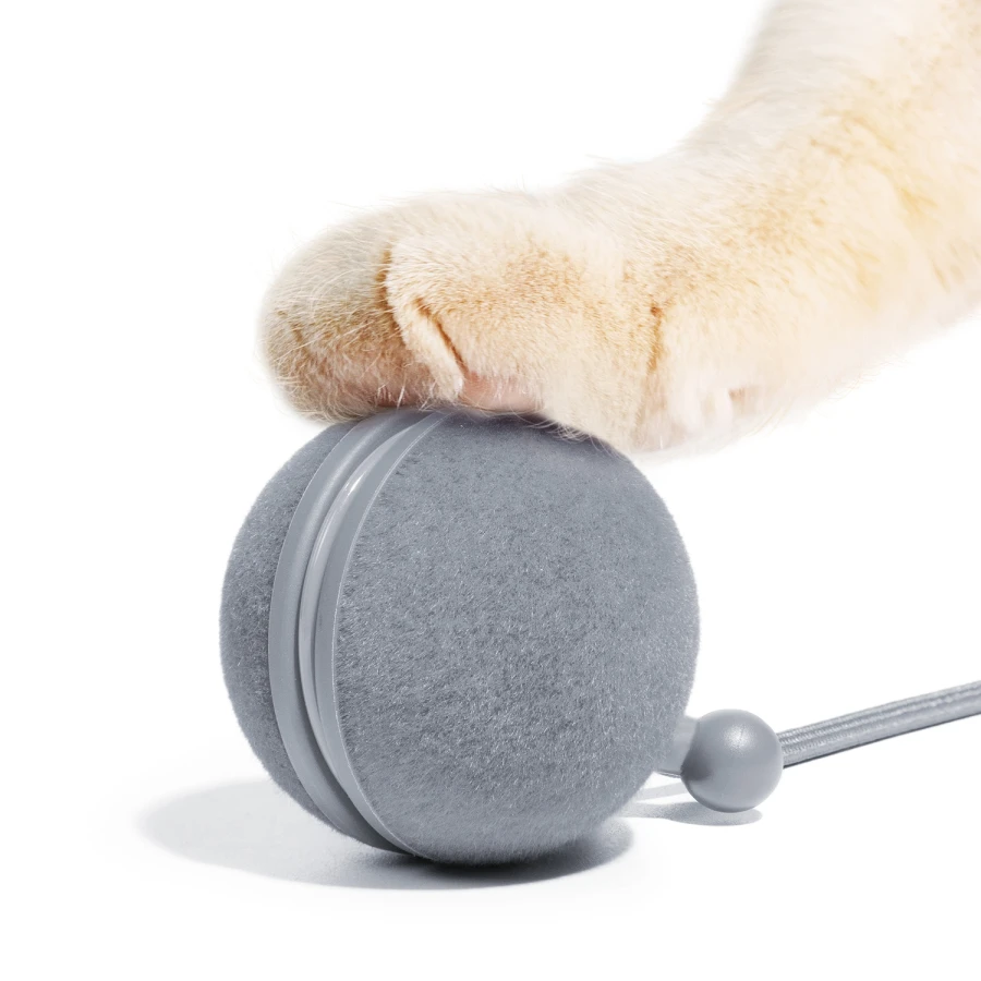 Jouet interactif Wicked Ball Duo 2 - grise