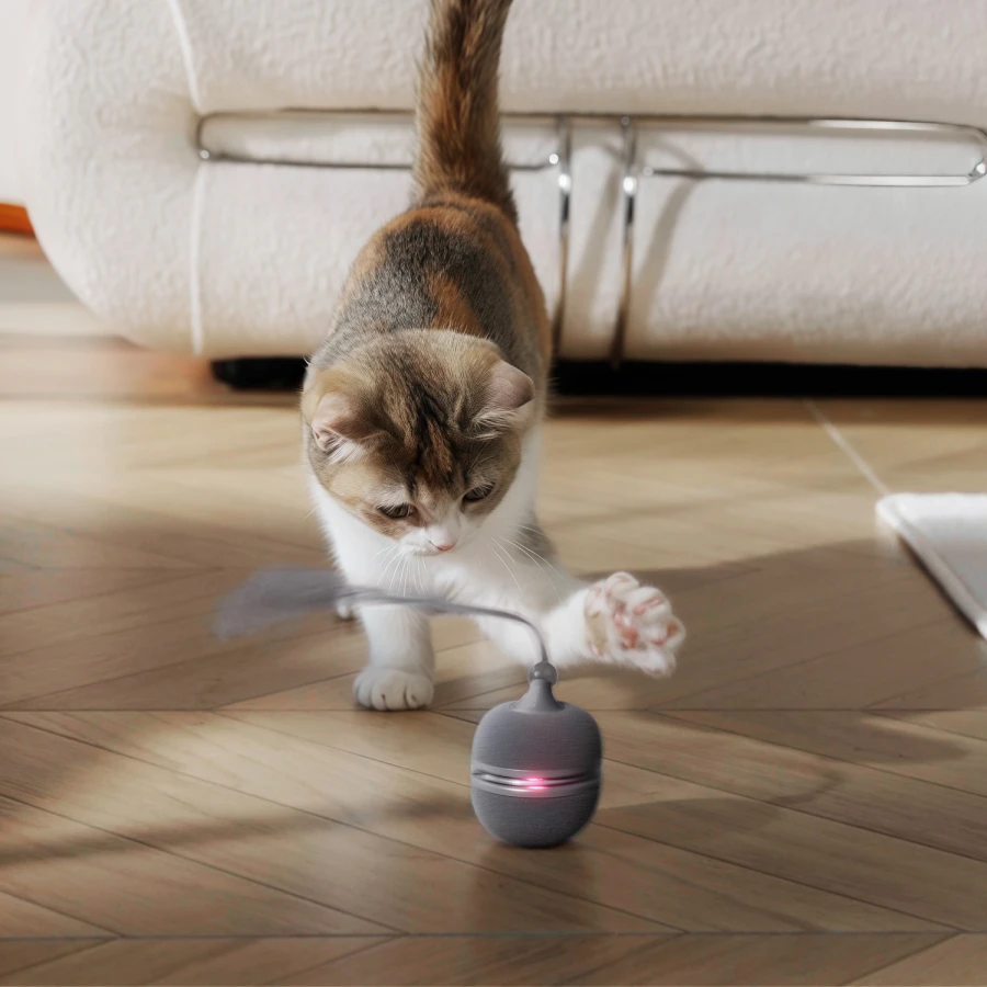 Jouet interactif Wicked Ball Duo 2 - grise