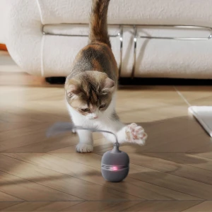 Jouet interactif Wicked Ball Duo 2 - grise