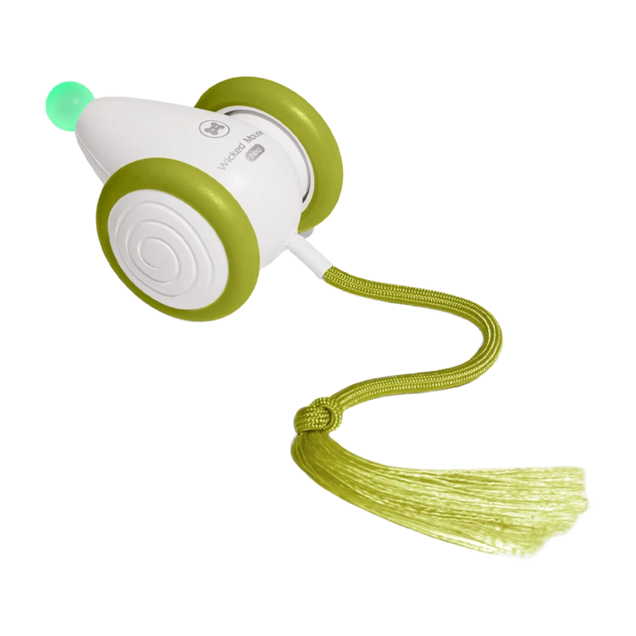 Jouet interactif Wicked Mouse Neo - vert