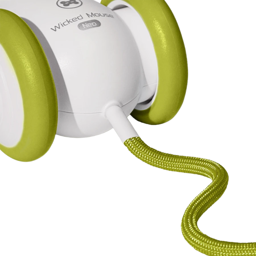 Jouet interactif Wicked Mouse Neo - vert