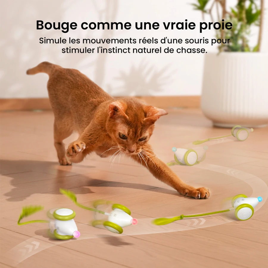 Jouet interactif Wicked Mouse Neo - vert