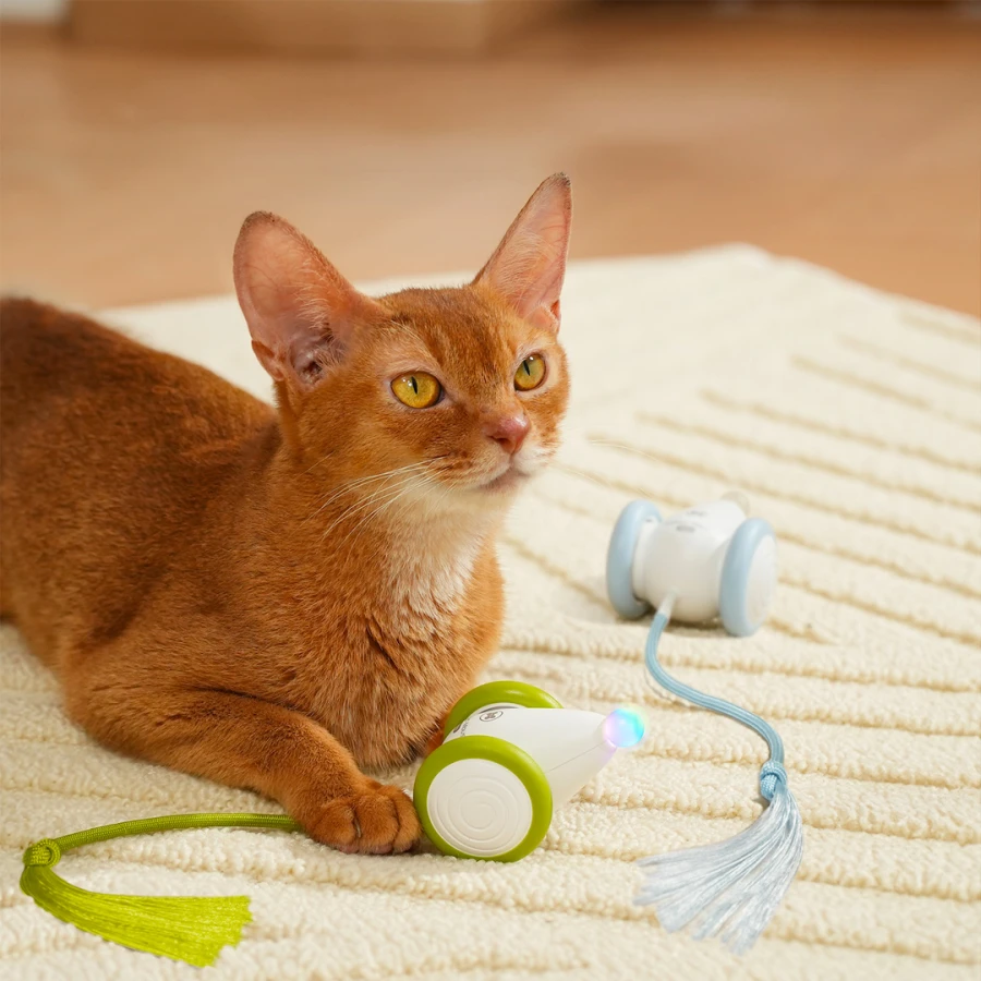 Jouet interactif Wicked Mouse Neo - vert