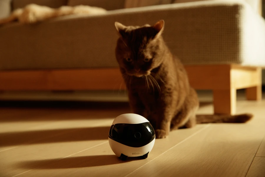Robot intelligent EBO SE