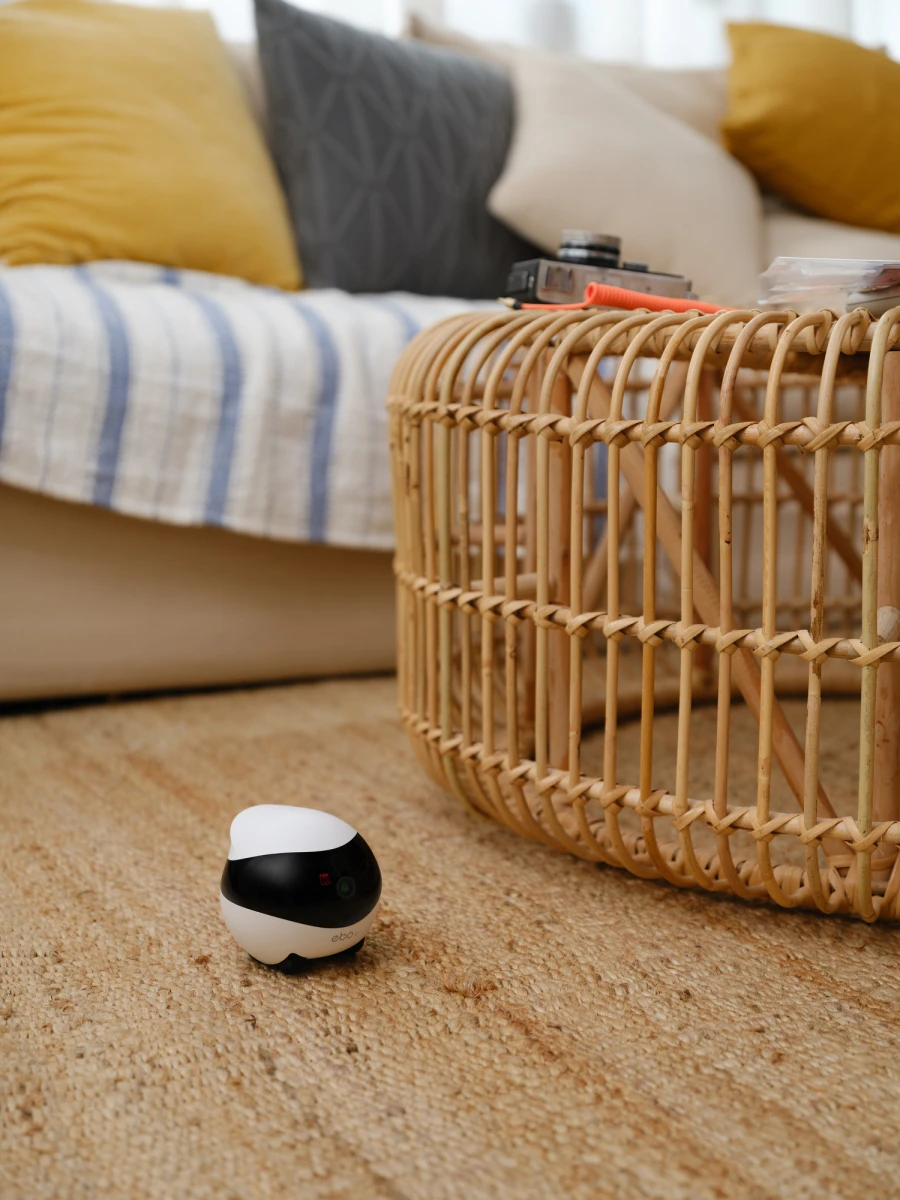 Robot intelligent EBO SE