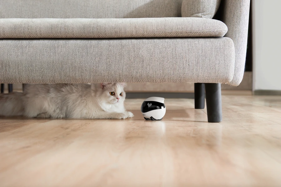 Robot intelligent EBO Air 2 - blanc