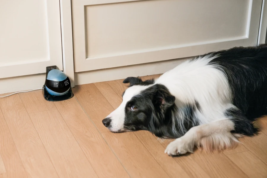Robot intelligent EBO Air 2 - bleu
