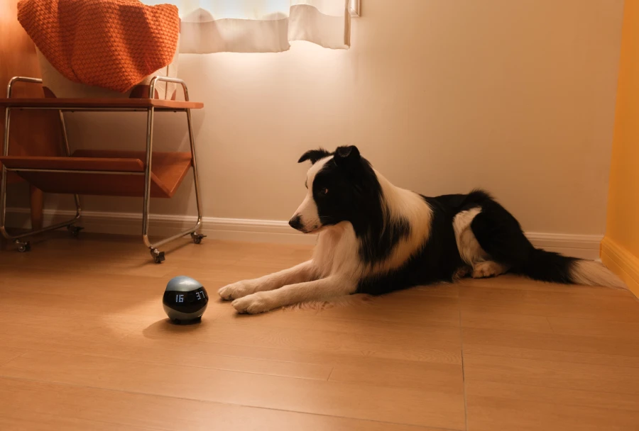 Robot intelligent EBO Air 2 - bleu