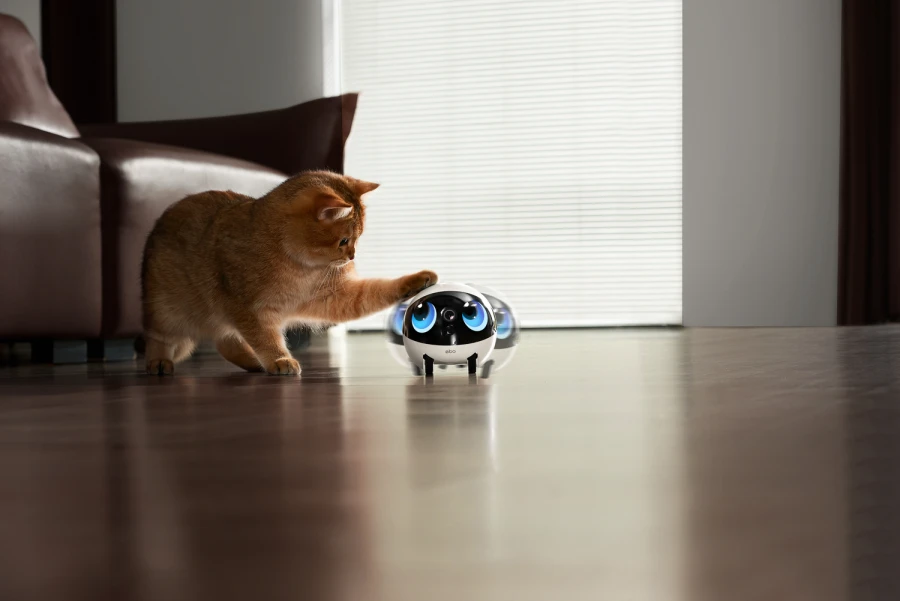 Robot intelligent EBO Air 2 Plus - blanc