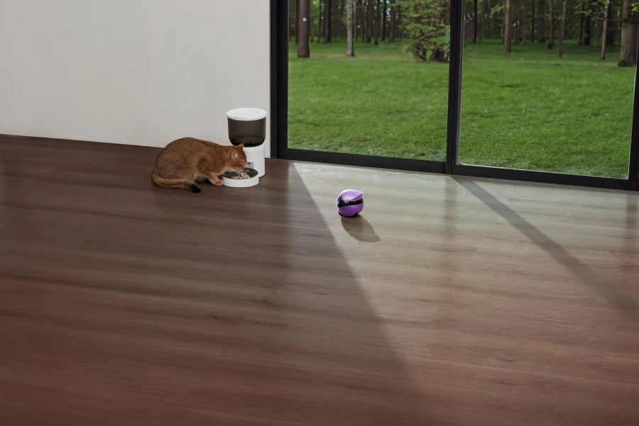 Robot intelligent EBO Air 2 Plus - violet