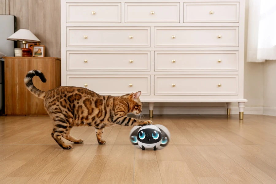 Robot intelligent EBO Air 2S Family Bot
