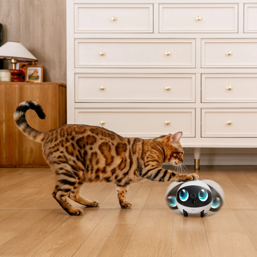 Robot intelligent EBO Air 2S Family Bot