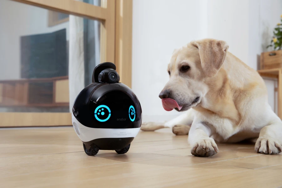 Robot intelligent EBO X Family Bot