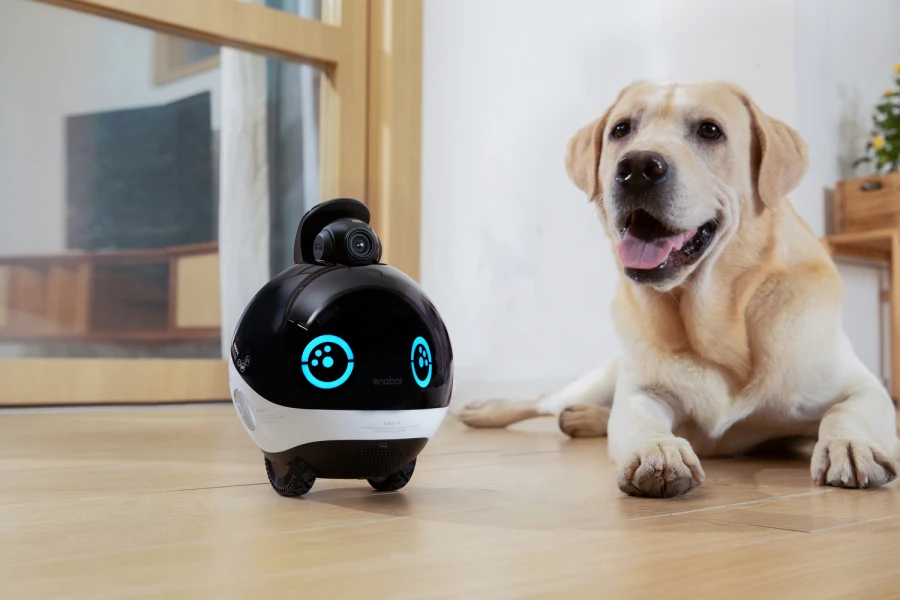 Robot intelligent EBO X Family Bot