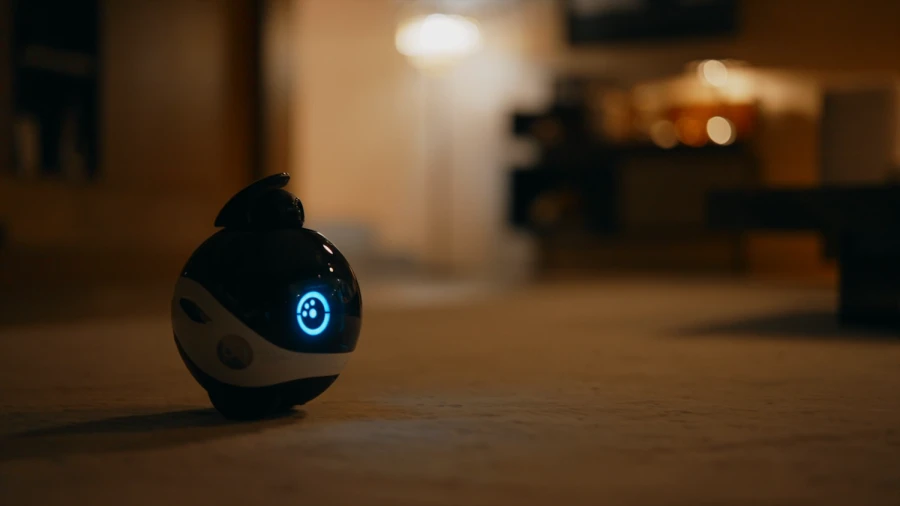 Robot intelligent EBO X Family Bot