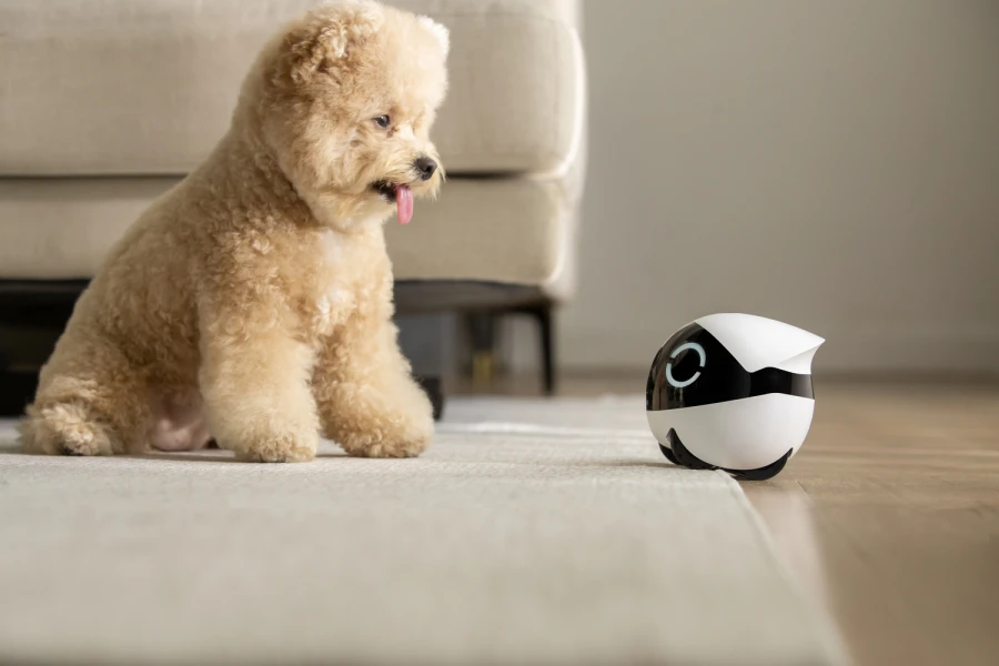 Robot intelligent Rola Mini Compagnon