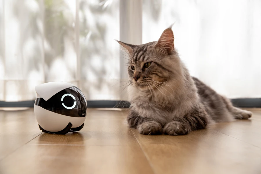 Robot intelligent Rola Mini Compagnon