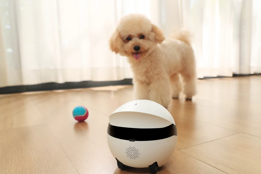 Robot intelligent Rola Mini Compagnon