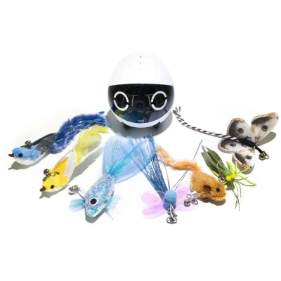 Jouet robot intelligent Rola Mini