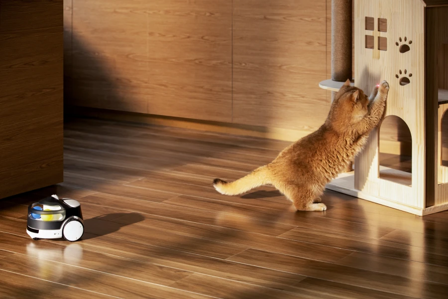 Robot intelligent PetPal Compagnon