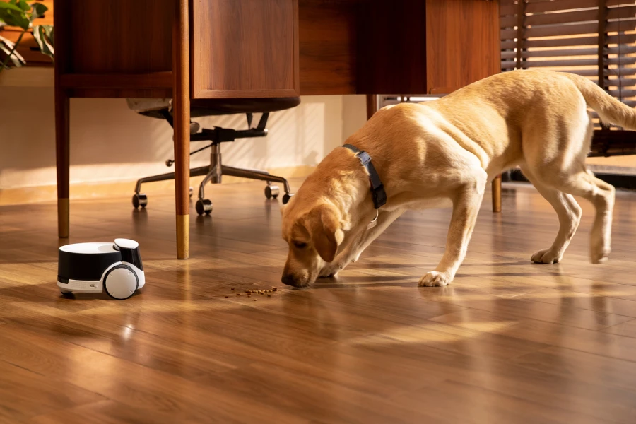Robot intelligent PetPal Compagnon