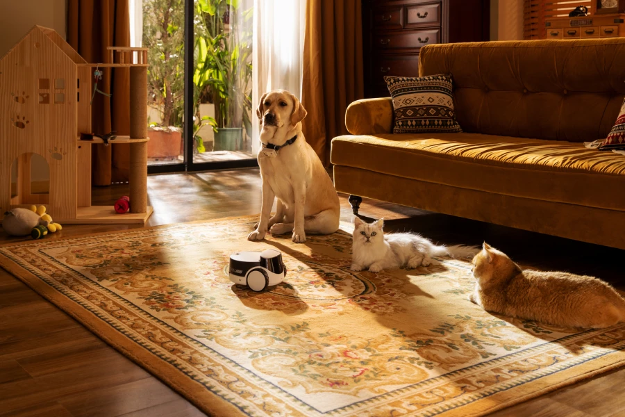 Robot intelligent PetPal Compagnon