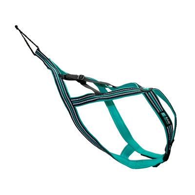 Harnais Olympia S