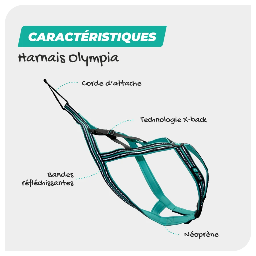 Harnais Olympia