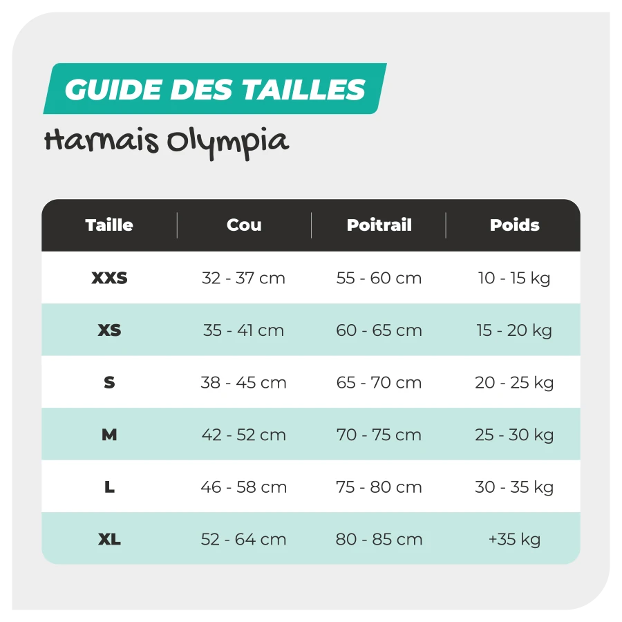 Harnais Olympia
