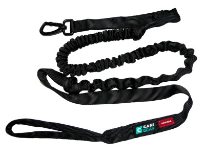 LONGE DE TRACTION INTENSIA