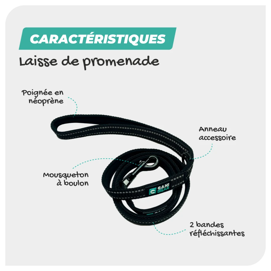 Laisse 120cm