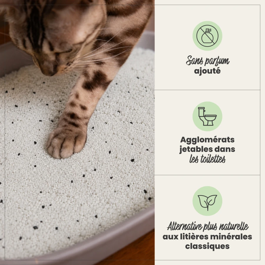 Litière agglomérante Natural Plus 6kg