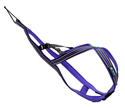 HARNAIS OLYMPIA XS - LILAS CG6118