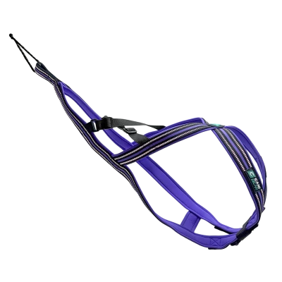 Harnais Olympia - Lilas
